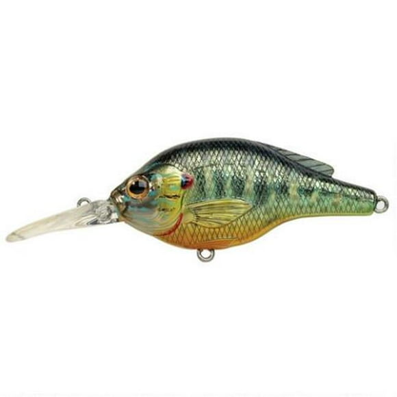 Livetarget Attire Citrouille Fs Arrondi, Métallique/brillant, 4