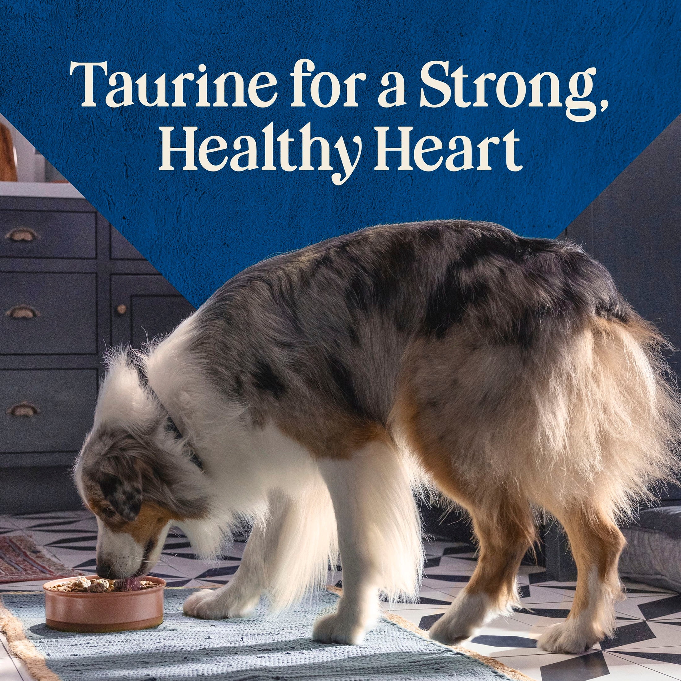 (6 pack) Blue Buffalo Love Made Fresh Adult Refrigerated Dog Food, Chicken Meatball 1.5lb Pouch