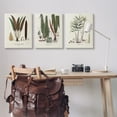 thumbnail image 3 of Stupell Industries Vintage Botanical Studies Botanical & Floral Painting Gallery Wrapped Canvas Art Print Wall Art, 24 x 30, Set of 3, 3 of 8