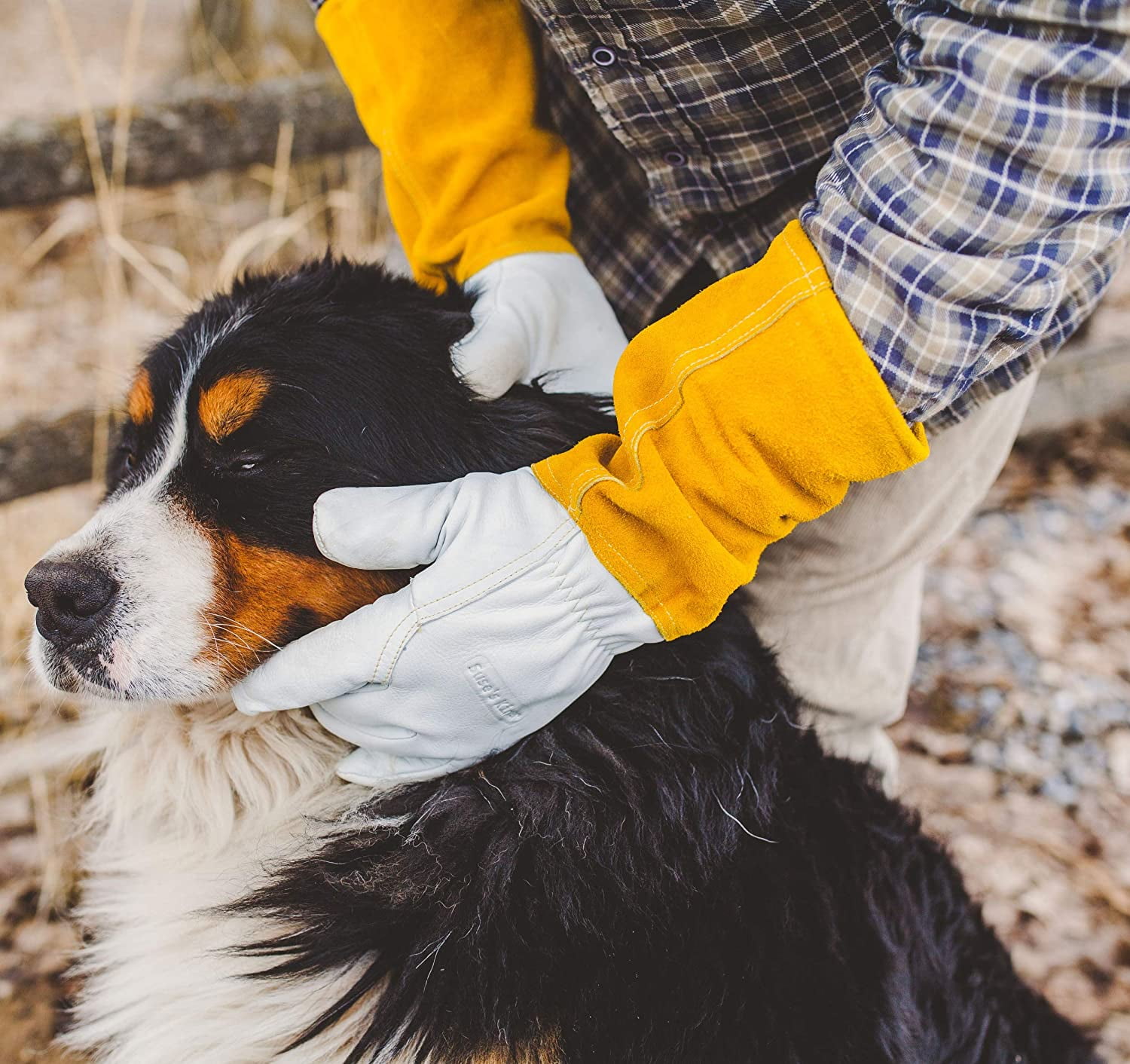 Animal Handling Work Gloves - For Falconry, Dog, Hawk, Cat, Bird and Raptor Handling - Anti Scratch Leather and Kevlar (XS)