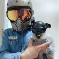 thumbnail image 3 of Accesorios para mini casco de motocicleta para mascotas, gorro de protección para mascotas, suministros para mascotas S JM, 3 of 4