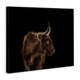 thumbnail image 2 of Stupell Industries Farmhouse Cattle Side Portrait Minimal Modern Farm Photography Canvas Art, 40 x 30, by Marika Moffit, 2 of 7