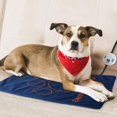 thumbnail image 5 of Pet Heating Pad, Adjustable Temperature Dog Cat Heating Pad with Timer, Indoor Pet Heating Pads for Cats Dogs with Chew Resistant Cord, Electric Pads for Dogs Cats, Pet Heated Mat(23.6*17.7in) LingWen 9024736132621, 5 of 5