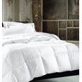 thumbnail image 1 of Nola Urban Loft 100% Duck Feather Duvet, 1 of 1