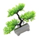 thumbnail image 4 of Planta artificial para decoración de exteriores, planta artificial de pino en maceta, planta decorativa para exteriores, 4 of 9