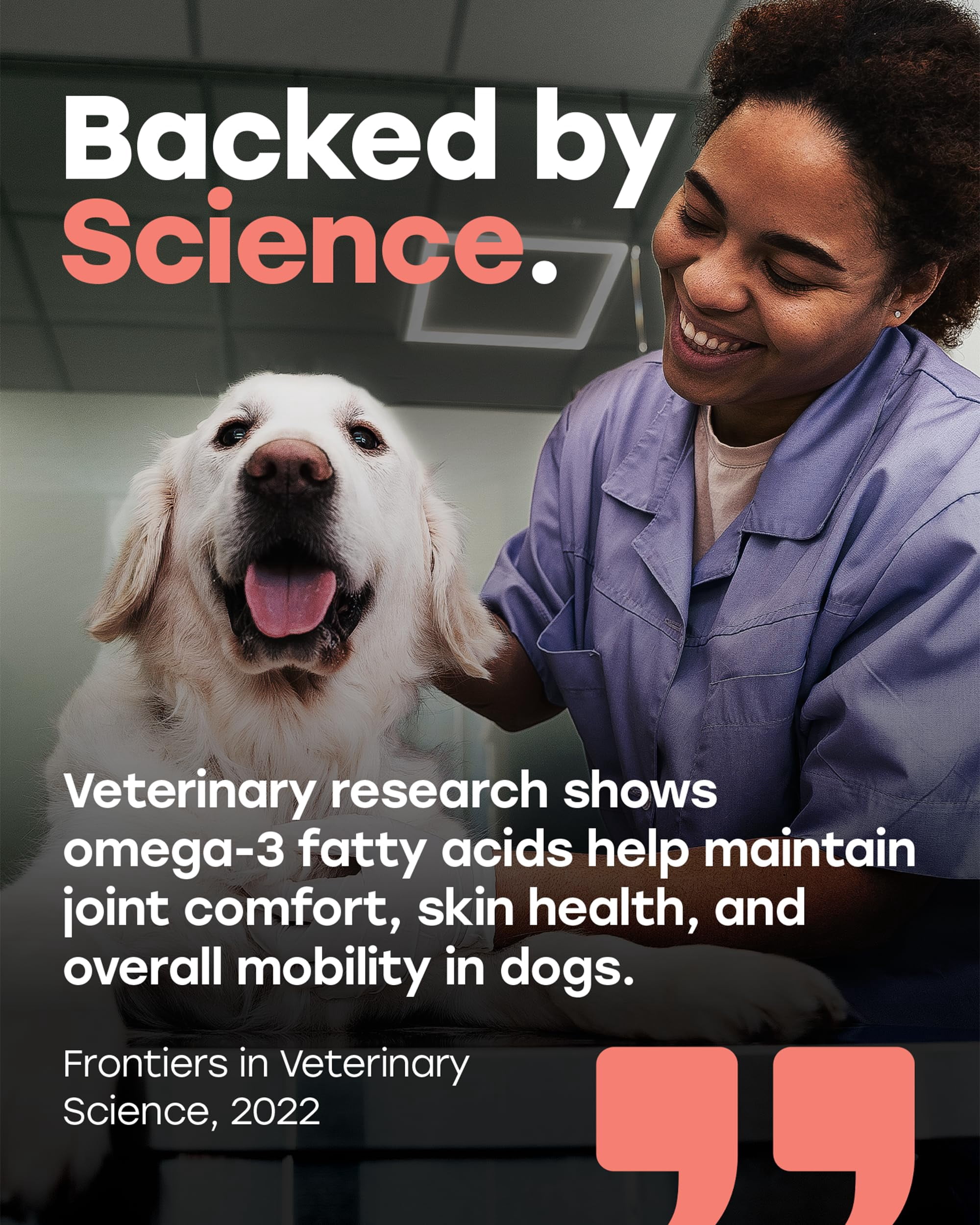 Pup Choice Omega 3 & 6 Skin & Coat Chews for Dogs with Wild Salmon Oil, Biotin & Zinc – Supports Healthy Skin, Shiny Coat & Shedding, Salmon Flavor, 140 Count