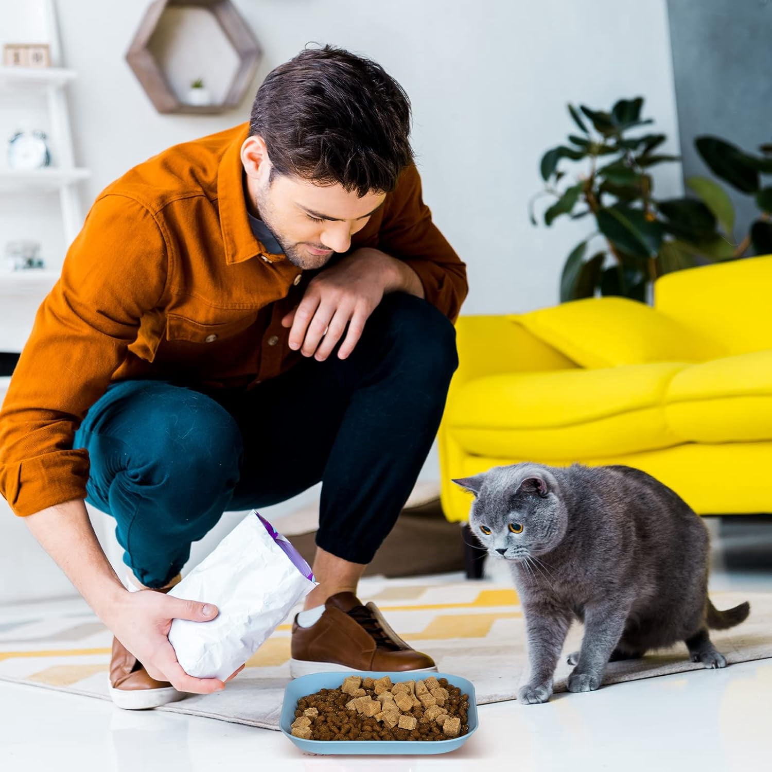 8-Piece Cat Food Bowl Set, 6-Inch Wide Shallow Cat Dish for Whisker Relief, Small Flat Pet Feeding Dish or Plate