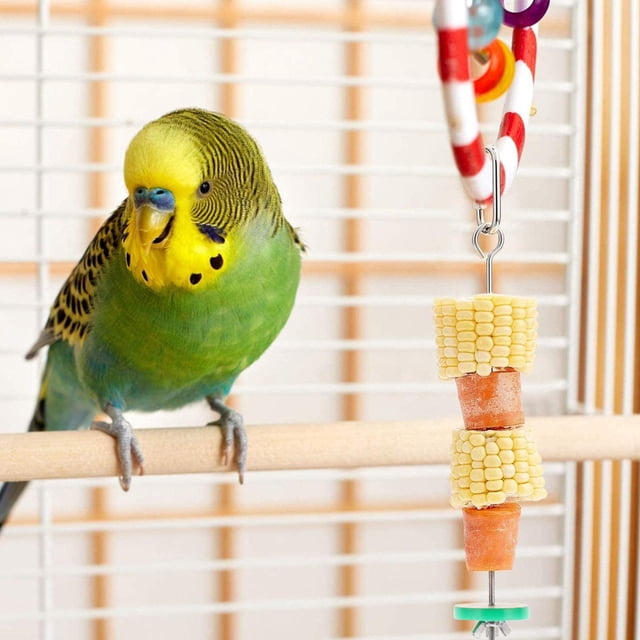 SOPOTUTU 2Ud Tenedores Para Y Vegetales De Pájaros Con Instalación Para Jaulas