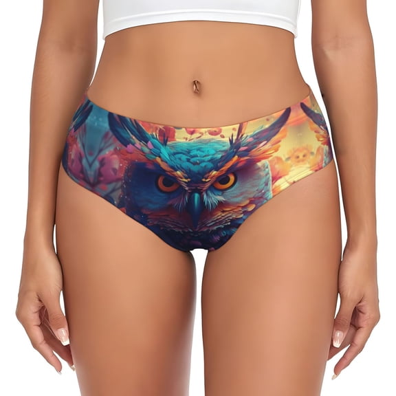 Womens Underwear - Colorful Feather Owl No Show Seamless Underwear for Women, Stretch Women's Panties, Hipster Soft Comfort Ladies Panties Bikini Underwear Briefs