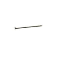 thumbnail image 1 of 2 in. 50 lbs 6D Common Hot-Dipped Galvanized Steel Round Nail, 1 of 1