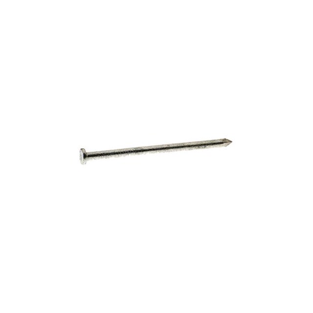 2 in. 50 lbs 6D Common Hot-Dipped Galvanized Steel Round Nail