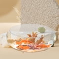thumbnail image 3 of GAXIRE Acuario de vidrio con forma de pecera, pequeño acuario para peces de colores, escritorio transparente, maceta hidropónica, 3 of 5