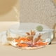 thumbnail image 3 of Cazón de pescado de vidrio Pequeño fabricación de escritorio de pescado Cazo de peces de oro transparente planta hidropónica, 3 of 8