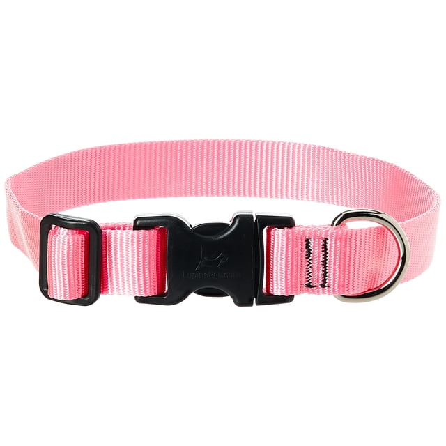 Collar para perro LupinePet Basics, 2,5 cm, rosa, ajustable entre 30 y 51 cm