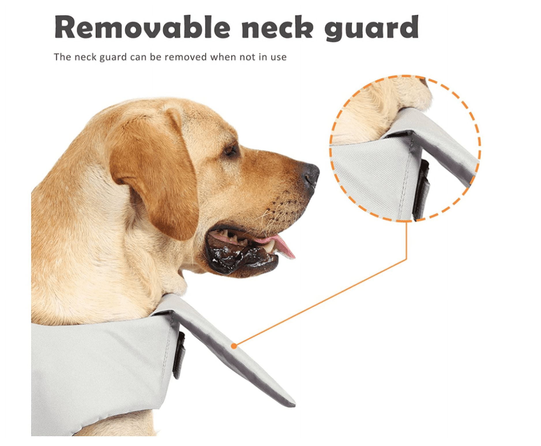 Dog life jacket argos 2025