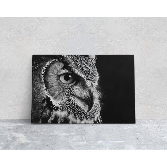 Kna Prints - 1 Pc Poster Black And White Owl, Owl Picture, Cabin Decor, Motain Home Art, , Owl Painting, Neutral Color, Bird Photo, Owl Photography, UNFRAMED-12x18