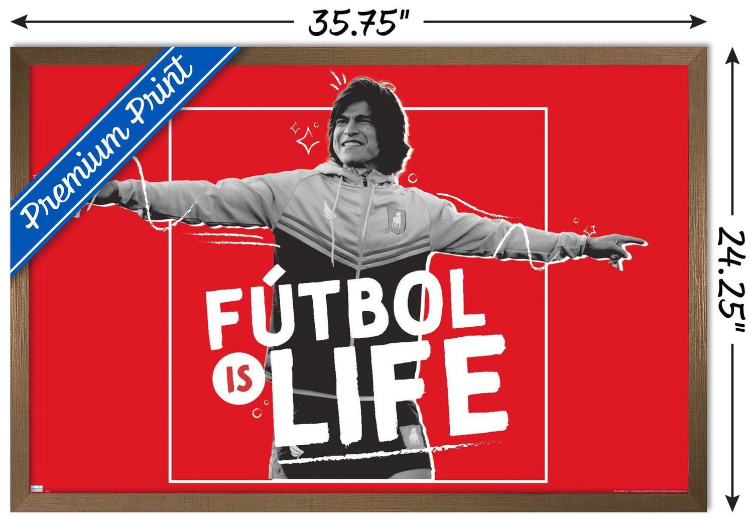 Ted Lasso - Le football c'est la vie