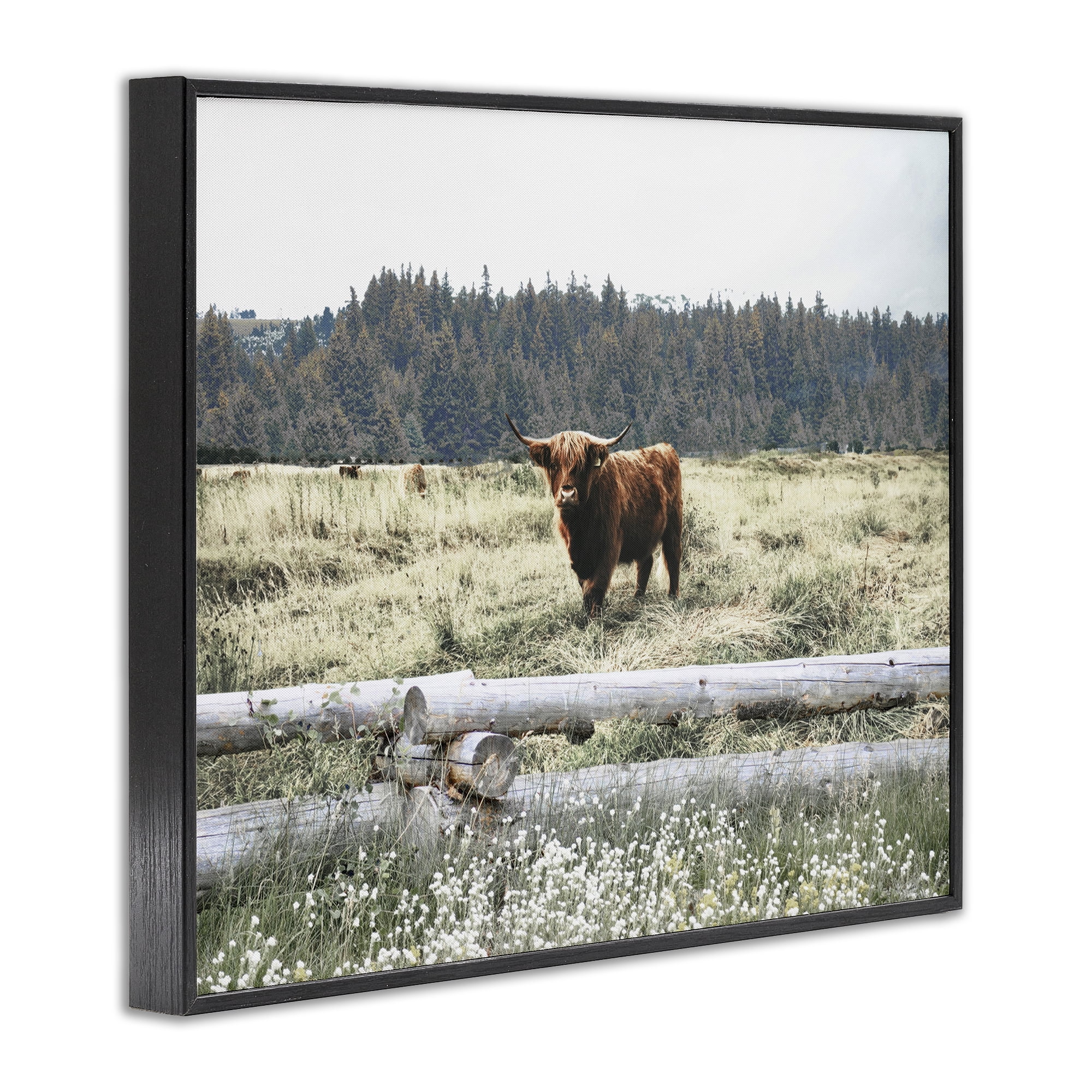 Stupell Industries Cattle Overlooking Fence Animals & Insects Photography Black Framed Art Print Wall Art, 14 x 11