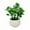 White, variant on Artificial Bonsai Tree In Ceramic Pot Mini Potted Plant For Home Desk Decor Bathroom Kitchen Indoor Outdoor Decoration Farmhouse Style