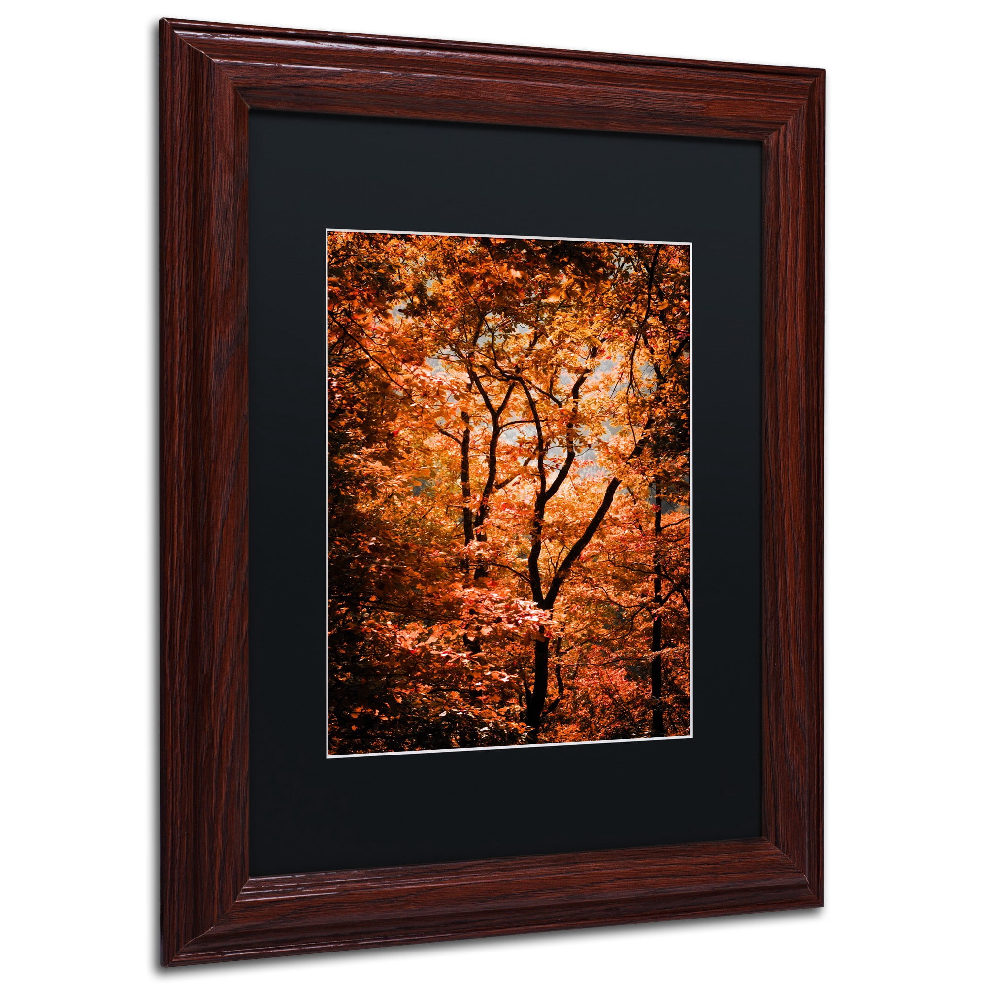 Trademark Fine Art "Autumn Whispers" Canvas Art by Philippe Sainte-Laudy Black Matte, Wood Frame