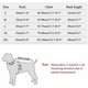 thumbnail image 5 of Chaleco de enfriamiento para Perros Chaqueta para Perros de Malla Transpirable Abrigo para Perros Ajustable Fresco y cómodo de Verano con Tira Reflectante para Perros Grandes, medianos y pequeños, Ve, 5 of 5