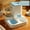 blue, variant on New Automatic Cat Feeding Water Feeder Dog Bowl Cat Basin Two-in-one Water Dispenser Cat Bowl