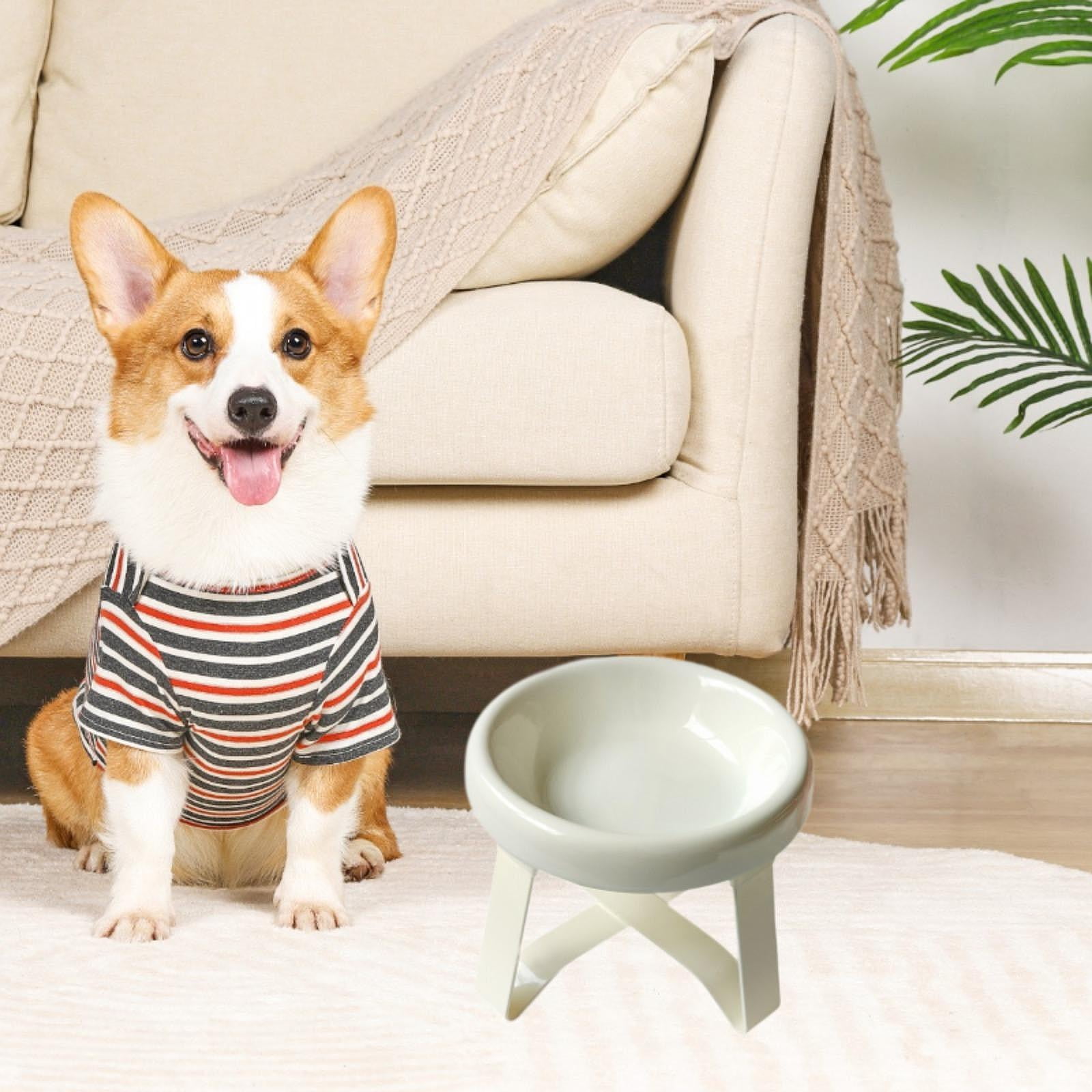 Bothyi Cat Bowl with Stand Ceramic Dog Bowl for Small and Medium Breeds White