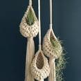 thumbnail image 3 of Travelwant 2Pcs/Set Jute Hanging Basket Wall planters-Small Wall Planter, Teardrop Hanging Baskets for Plants Succulent Wall Decor, Hanging Herb Pot Holder, 3 of 7