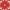 Red, variant on Nourison Aloha Indoor/Outdoor Navy 2'8" x 4' Area Rug, (3x4)