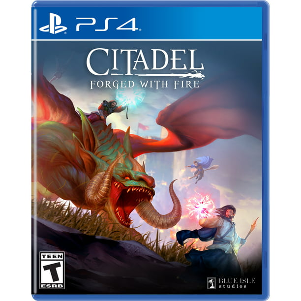 Citadel Forged With Fire Blue Isle Studios Playstation 4