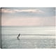 thumbnail image 1 of Cuadro Decorativo - Windsurfista, 1 of 3