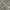 Charcoal, variant on Nourison Aloha Indoor/Outdoor Grey 9' x 12' Area Rug, (9x12)