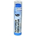 thumbnail image 2 of Boiron Homeopathic Medicine Eupatorium Perfoliatum, 6C Pellets, 80-Count Tubes (Pack of 5), 2 of 2