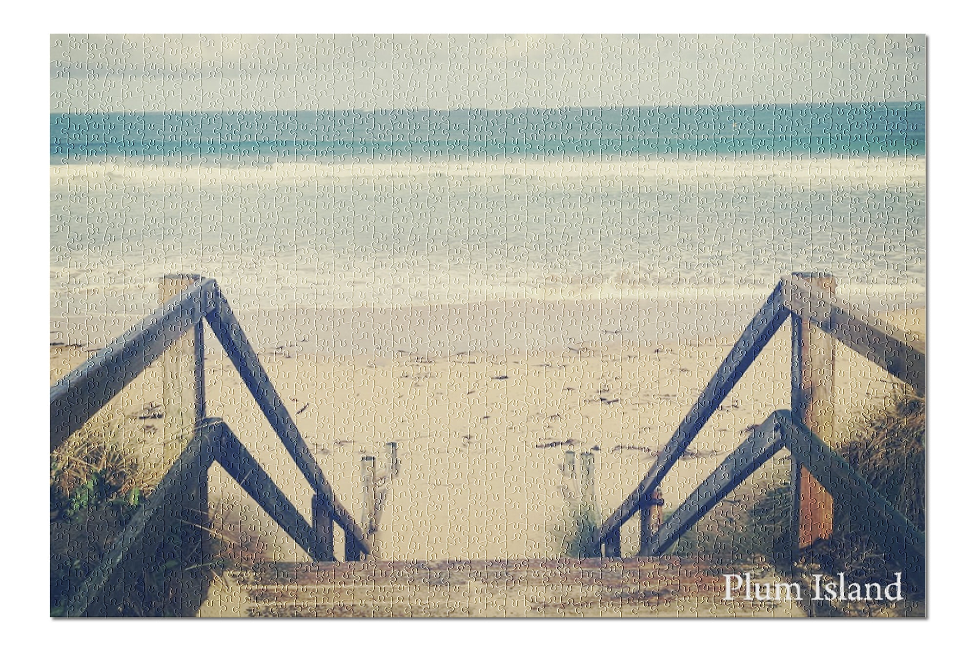 Plum Island, New York Sandy Stairs and Beach Photography 98203