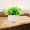 thumbnail image 1 of Pequeñas plantas Craft Simulation Gifts Dousewarming Gifts Bonsai PU Material Ornamento Planta en maceta para el pequeña sala de de de - Beige a Soledad Plantas en macetas, 1 of 7