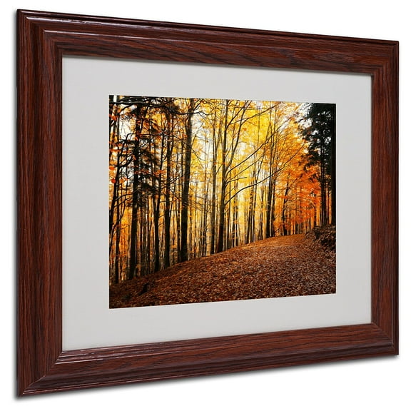 Trademark Fine Art "Autumn Leaves" Canvas Art by Philippe Sainte-Laudy, Wood Frame