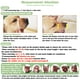 thumbnail image 2 of Bozal Mayerzon de malla suave antimordeduras para perros grandes, 2 of 7