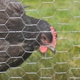 thumbnail image 3 of Expert Gardener Galvanized Steel Gray Poultry Netting, 25'L x 36"H, 3 of 12