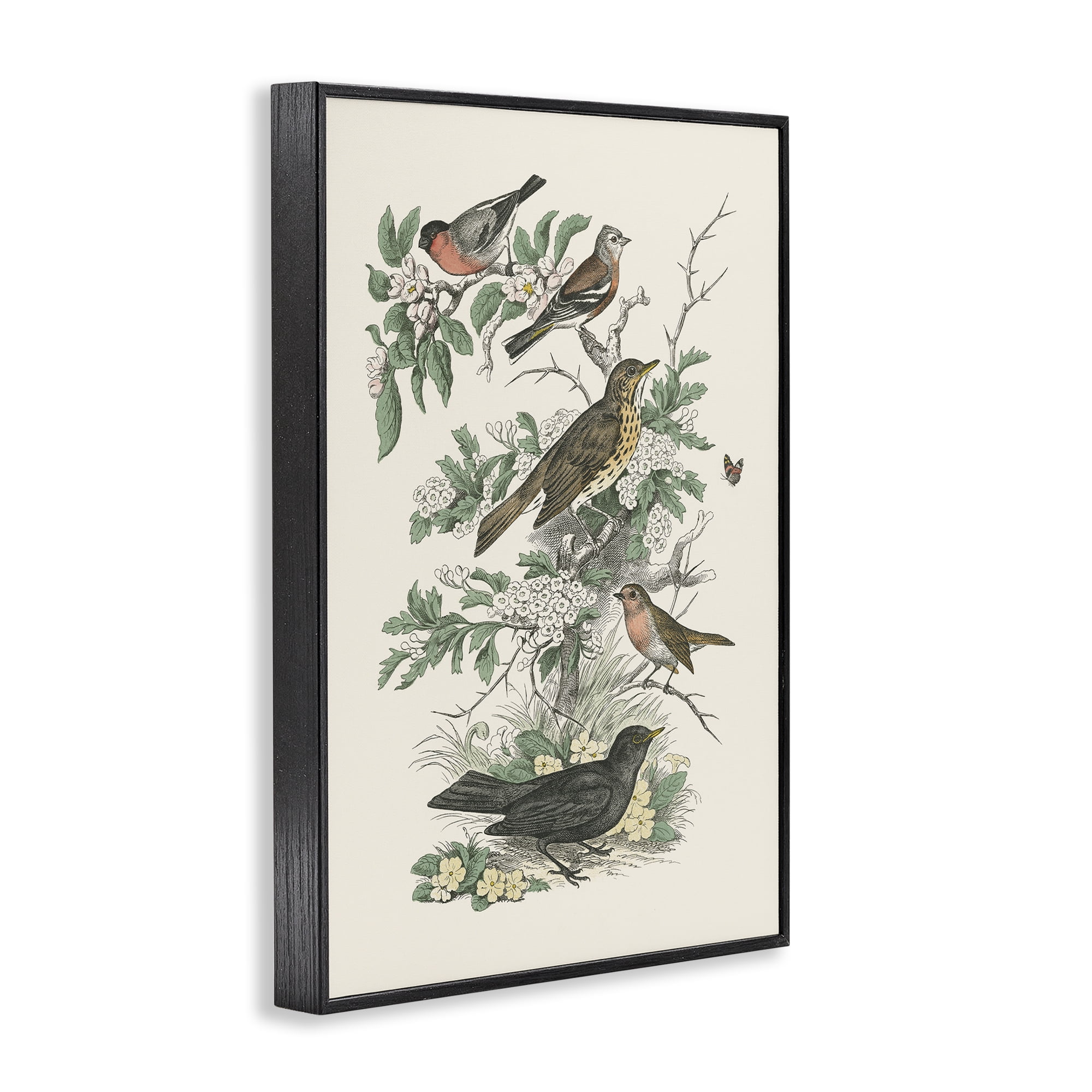Stupell Industries Honeybloom Birds Perched Botanical & Floral Painting Black Framed Art Print Wall Art, 12 x 18