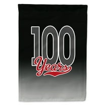 Carolines Treasures CJ1092GF 100 Years Flag Garden Size  Small multicolor