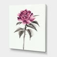 thumbnail image 3 of Designart ' Ancient Pink Rose Flower ' Traditional Canvas Wall Art Print, 3 of 4