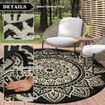 thumbnail image 6 of Aonewoe Round Outdoor Rugs 8ft Waterproof Patio Plastic Straw Rug Reversible Camping Carpet Indoor Outdoor Area Rug for Patio,Deck,Balcony,Picnic,Beach,Outside, 6 of 8