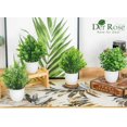 thumbnail image 3 of Der Rose 8 Pack Small Artificial Potted Plants for Home, Office, Farmhouse, Bathroom, and Bedroom Decor, 3 of 6