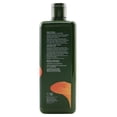 thumbnail image 3 of Origins Dr. Andrew Mega-Mushroom Skin Relief & Resilience Soothing Treatment Lotion (Mushroom Design Limited Edition), 3 of 7