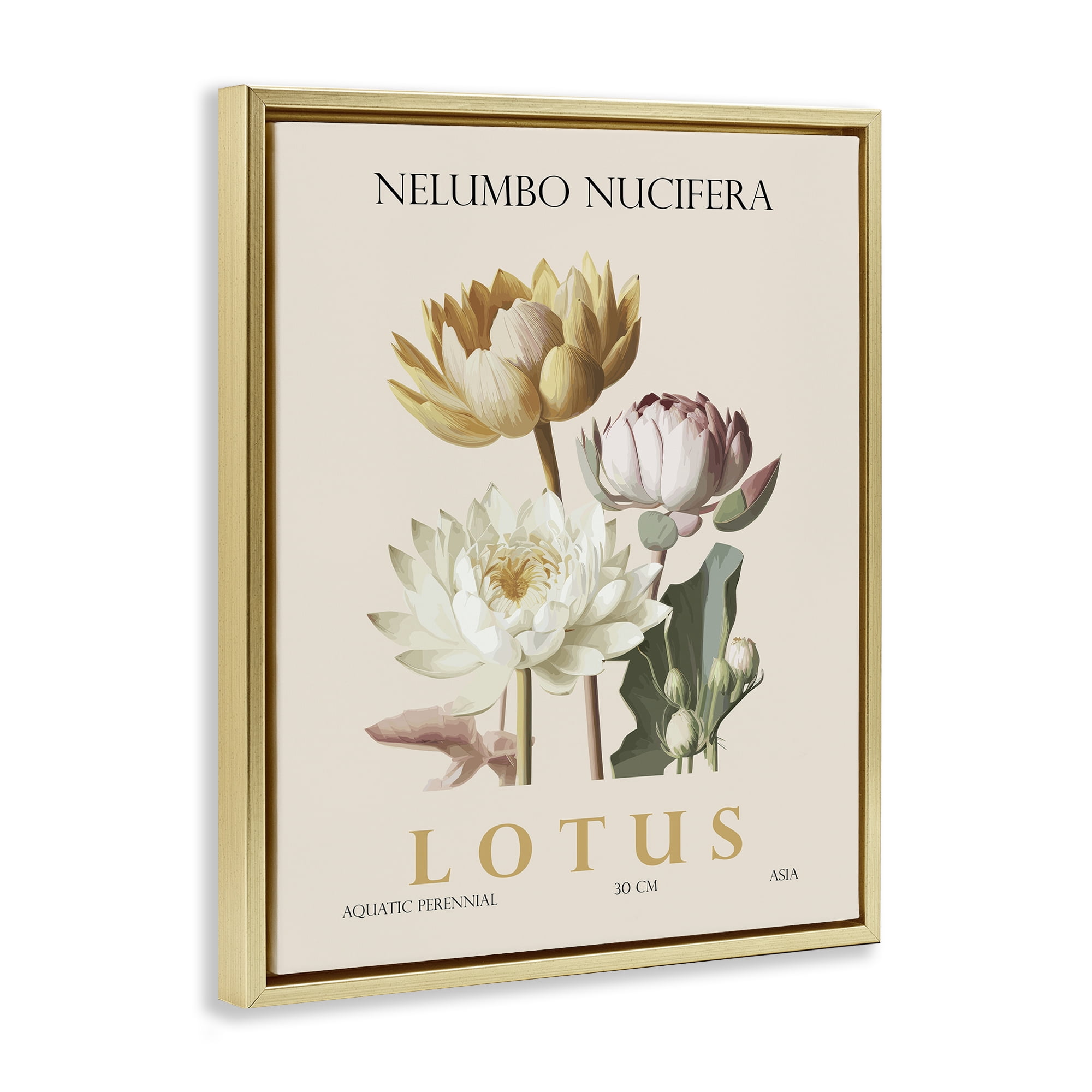 Stupell Industries Natural Lotus Bundle Gold Framed Floater Canvas Wall Art, design by Christopher Giampietro