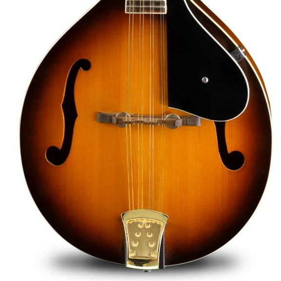 OFFIGAM Professional Zinc Alloy Mandolin Tailpiece 1 Set - Essential Mandolin Replacement Part and Supplies