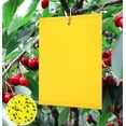 thumbnail image 1 of Trampa para moscas amarilla JM doble cara 15x20cm para insectos voladores Invernadero exterior, 1 of 4