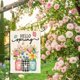 thumbnail image 2 of Bandera de jardín de primavera de 30 x 45 cm, doble cara, para exteriores, con diseño floral en tarro de cristal, ideal para fiestas y exteriores., 2 of 7
