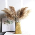 thumbnail image 2 of Hierba de pampa seca natural, tallos que se desprenden poco para decoración de bodas bohemias, sin mantenimiento (30/50 piezas), 2 of 5