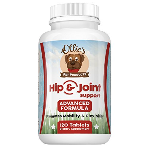 Glucosamine Chondroitin for Dogs, Chewable Hip & Joint Supplement, MSM